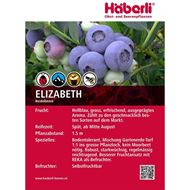 Bild von Heidelbeeren Strauch ELIZABETH