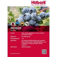 Bild von Heidelbeeren Strauch PATRIOT