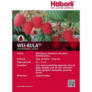 Himbeeren Strauch WEI-RULA 4 Stk.