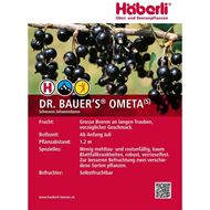 Bild von Johannisbeeren-Strauch DR. BAUER'S OMETA