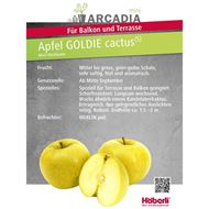 Image sur ARCADIA® Mini-pommier GOLDIE cactus