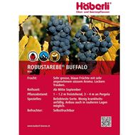 Image sur  Vigne ROBUSTAREBE® BUFFALO