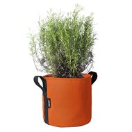 BACSAC Pot 10 Liter potiron mit Pflanze