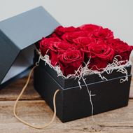 Infinity Rosenbox rot (DIY)