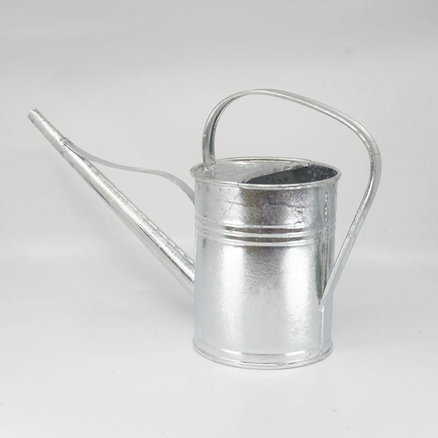 Image de Arrosoir 1.5l Zinc