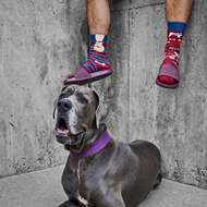 Walkie Doggie Socks