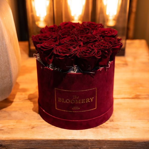 Rosenbox in Bordeauxrot Samt, mit 15 stabilisierten Rosen Burgundy Ø 20 cm