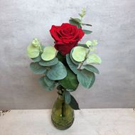 Edle rote stabilisierte Rose 35 cm mit Eukalyptus und Vase