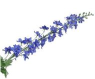 Delphinium blau 116cm