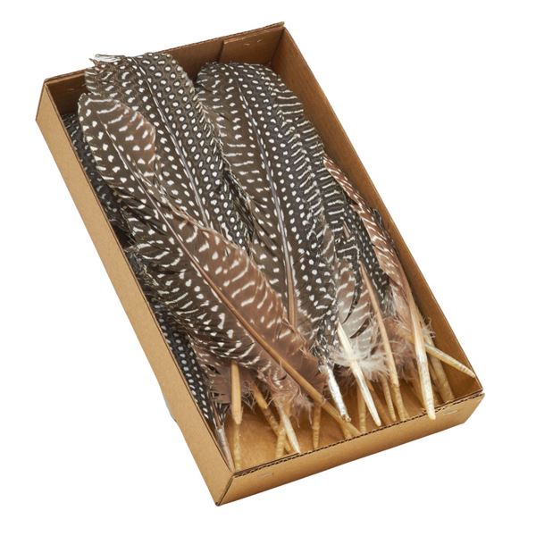 Bild von Hahnfedern 'natur' Box 10gr