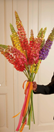 Bild von Eremurus gold/orange 120cm