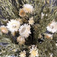 Bouquet natur Trockenblumenstrauss mit Strohblumen cremeweiss