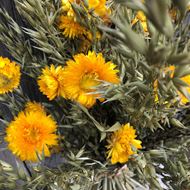 Bouquet natur Trockenblumenstrauss mit Strohblumen gelb