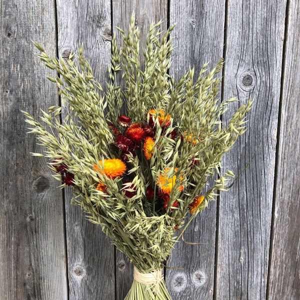 Bouquet natur Trockenblumenstrauss mit Strohblumen rotorange