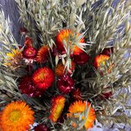 Bouquet natur Trockenblumenstrauss mit Strohblumen rotorange