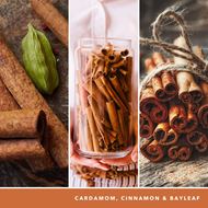 Bild von Cinnamon Stick Signature Medium Jar