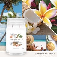 Image sur Plage de noix de coco Signature Large Jar