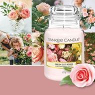 Bild von Fresh Cut Roses Medium Jar