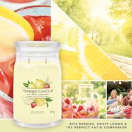 Image sur Limonade aux baies glacées Signature Large Jar