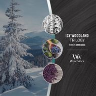 Bild von Icy Woodland Trilogy Medium Jar