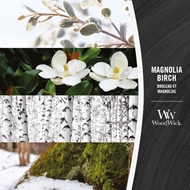 Bild von Magnolia Birch Ellipse