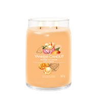 Bild von Mango Ice Cream Signature Large Jar