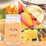 Bild von Mango Ice Cream Signature Large Jar