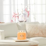 Bild von Mango Ice Cream Signature Medium Jar