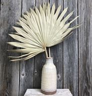 Decorative Palmblätter mit Keramik Vase