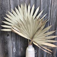 Decorative Palmblätter mit Keramik Vase