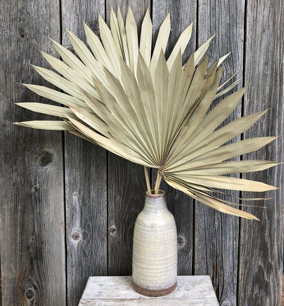 Decorative Palmblätter mit Keramik Vase