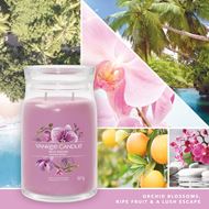 Bild von Wild Orchid Signature Medium Jar