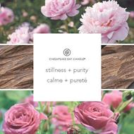 Bild von Stillness + Purity Medium Tumbler