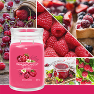 Bild von Red Raspberry Signature Large Jar