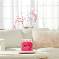 Bild von Red Raspberry Signature Medium Jar