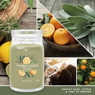 Bild von Sage & Citrus Signature Large Jar