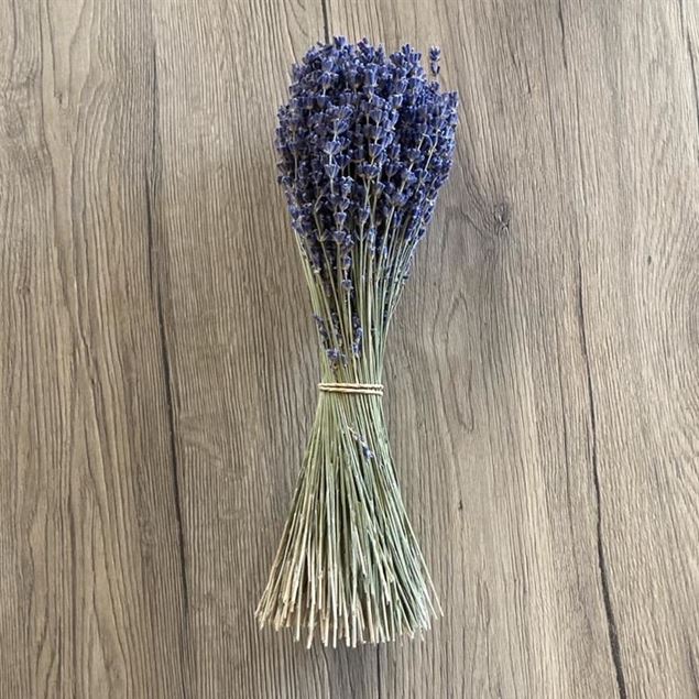 Lavendel Bund von Merci Lavande Blau