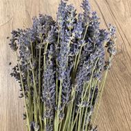 Bild von Lavendel, Bund von Merci Lavande, grün