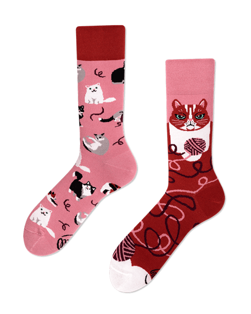 Image de Playful Cat Socks