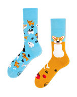 Bild von Playful Dog Socks