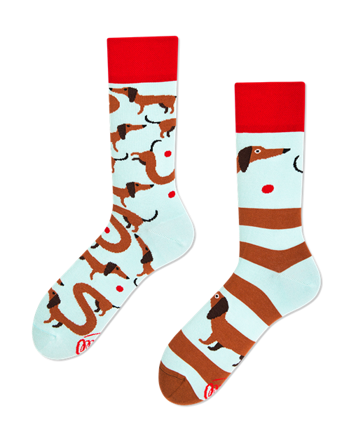 Bild von Sausage Dog Socks