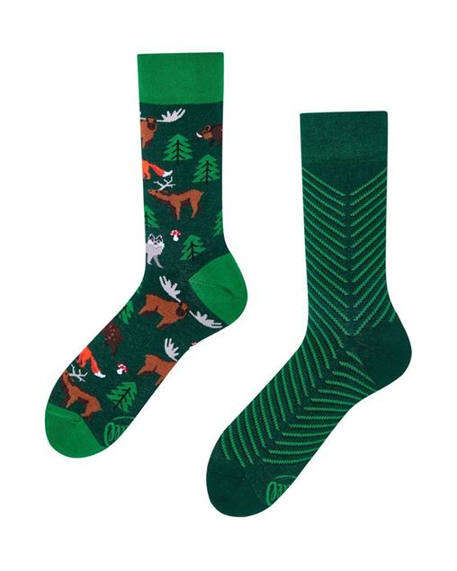 Image de Scout Memory Socks