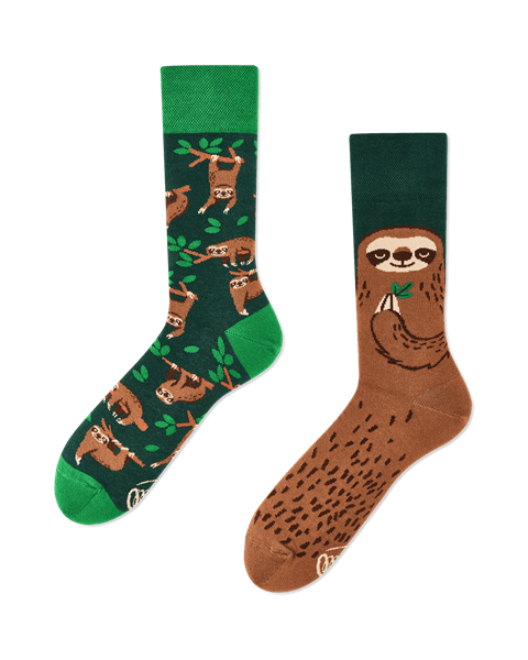 Image sur Sloth Life Socks