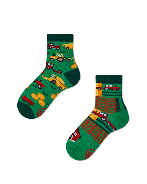 Bild von Happy Harvest Kids Socks