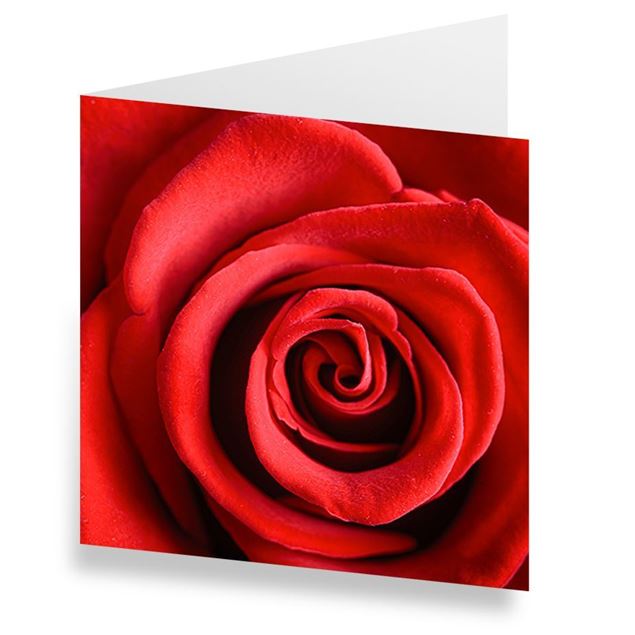 Image de Cartes «Rose» (Set de 10)