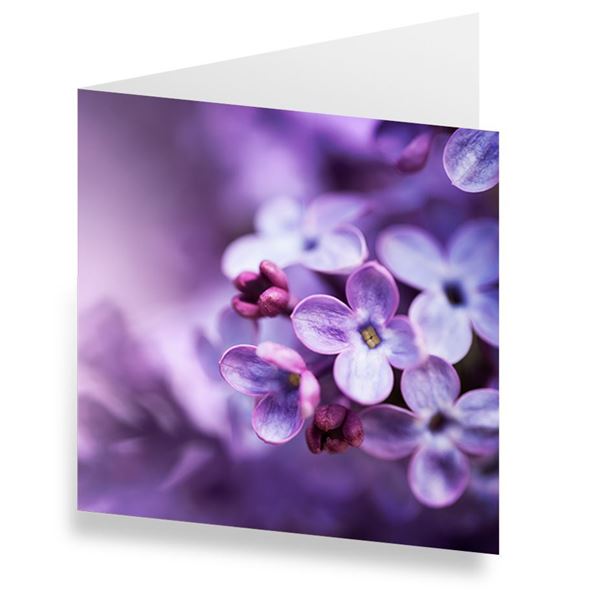 Image sur  Cartes «Lilas» (Set de 10)