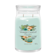 Image sur Aloe et  Agave Signature Large Jar