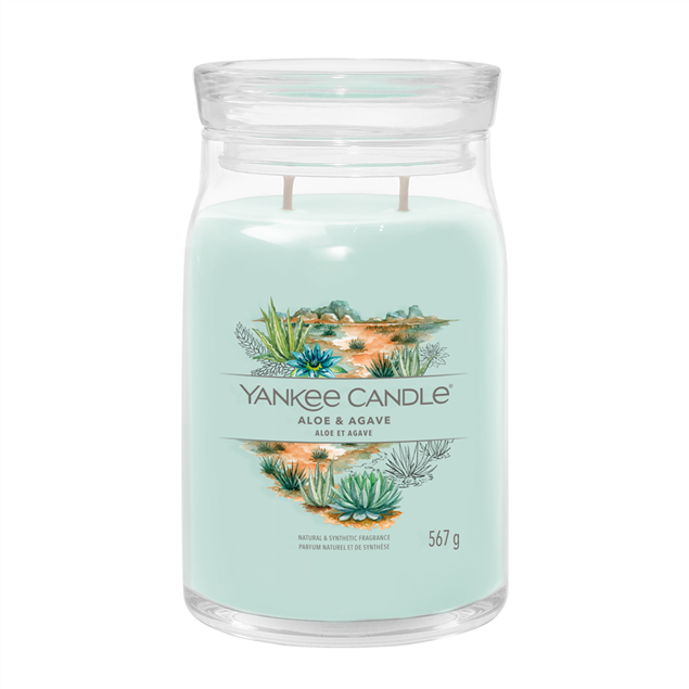 Image de Aloe et  Agave Signature Large Jar