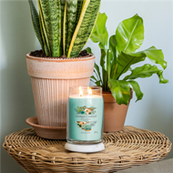 Image sur Aloe et  Agave Signature Large Jar