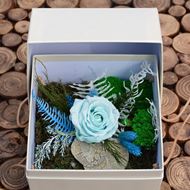 Rosenbox pastellblau